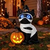 Dawbun Halloween Cat Decorations Outdoor Solar Lights Black Cat Decor for Garden Porch Yard Patio Entryway Animal for Cat Lovers Mummy Cat with Pumpkin LED Eyes Resin Statue 11.1 in