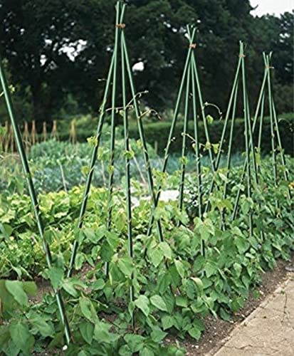 Image of BLOOMAX Combo Pack, 23 Pcs Plant Support Sticks, 3 Feet Wooden Garden Stakes - 12 Pcs (10mm) + 11 Pcs (14mm), Strong Hardwood Dowels for Gardening, Climbing Plants, Creepers, DIY & Craft Use