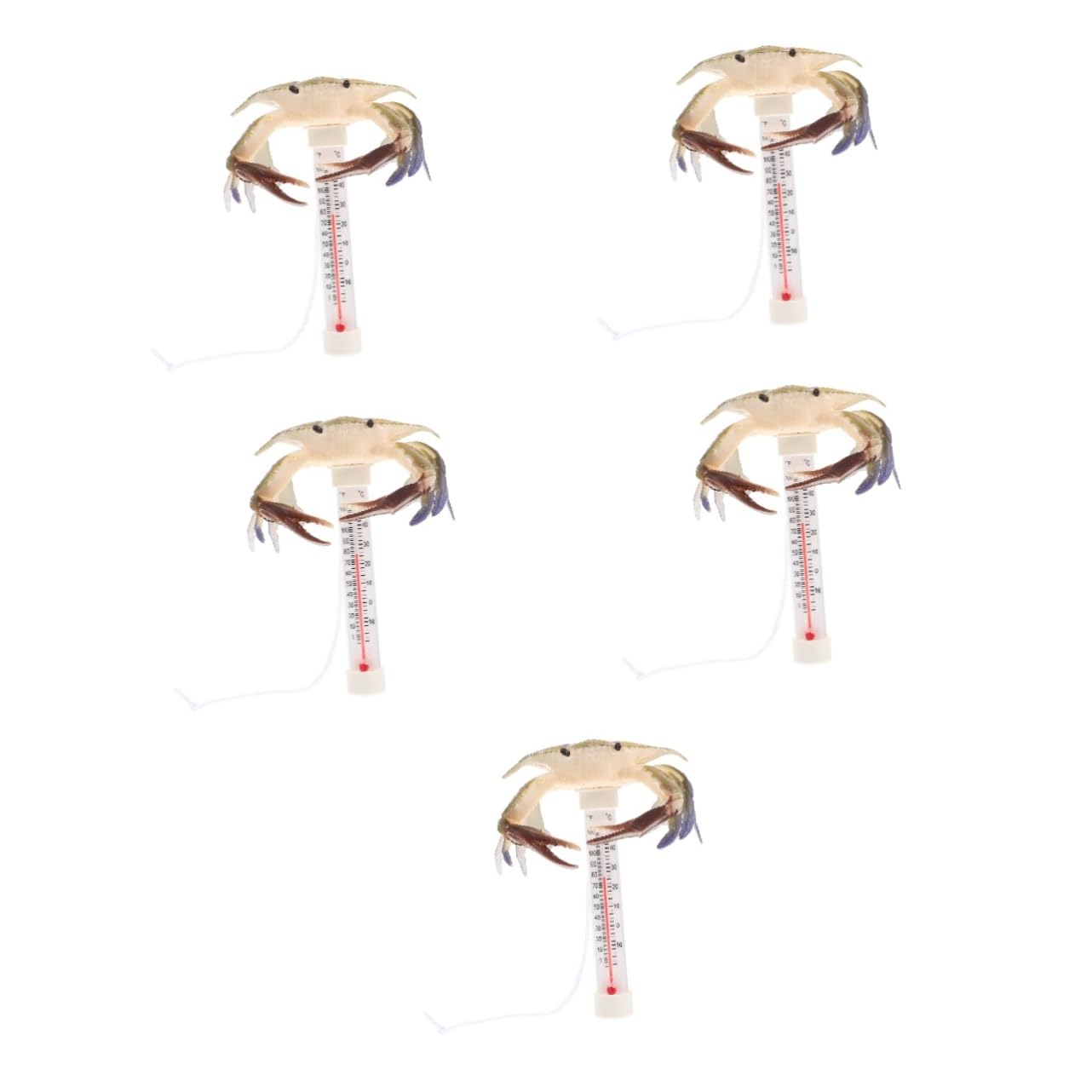 TOPBATHY 5 Pièces Thermomètre De Piscine Thermomètre À Eau Flottant Mesureur De Température De Piscine De Bain À Remous Jauge De Température D'Eau Jauge D'Eau De e