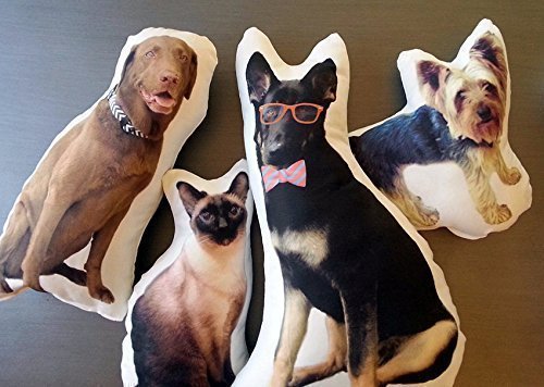 Life Like Pet Pillow, Custom Pet Photo 