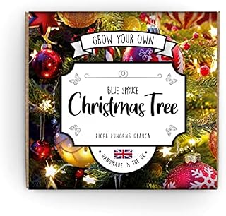 Grow Your Own Christmas Tree Kit | Suitable for Everyone from Kids to Gardening Pros | Guaranteed to Grow Or We'll Replace Your Seeds | Hand Made in The UK