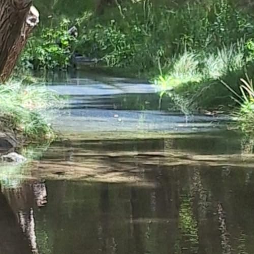 Donde el Río Se Encuentra Con el Cielo cover art