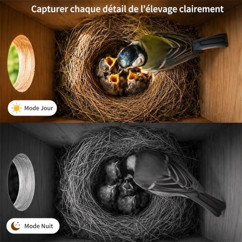 Photo complémentaire