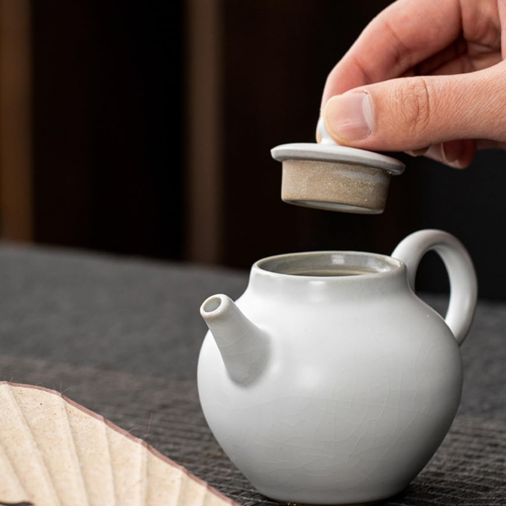 Teiera giapponese in ceramica, teiera in porcellana filtrata per uso domestico, piccola teiera nera per preparare il tè, design elegante, perfetta per foglie sfuse e bustine di tè