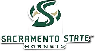 Desert Cactus Cal State Sacramento University Sticker California Hornets Sac Vinyl Decal Laptop Water Bottle Car Scrapbook (IND 004)