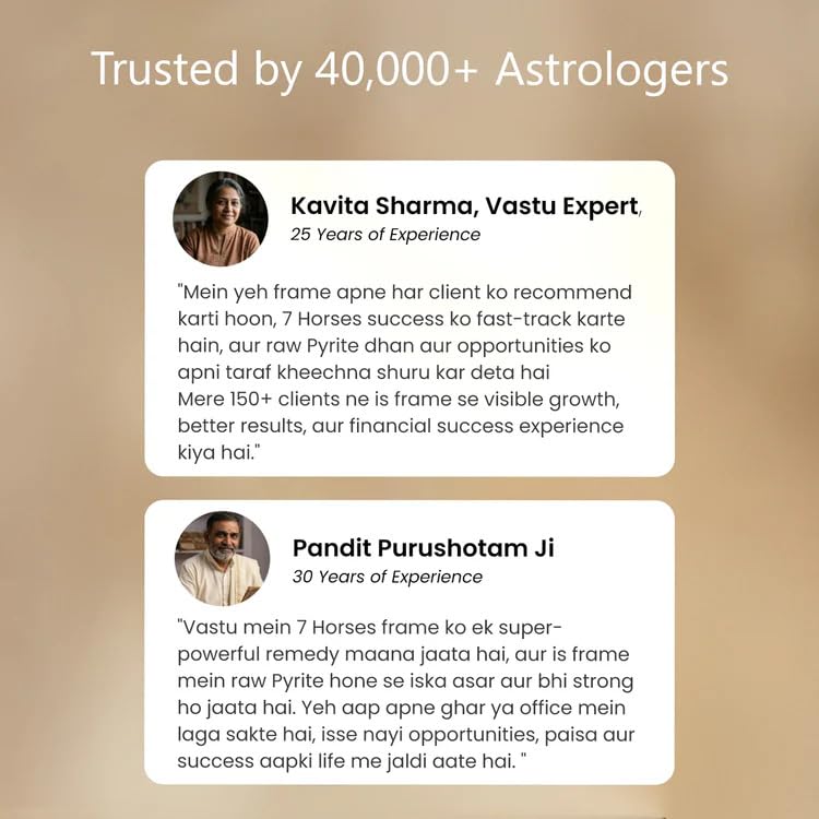 Image of Astrotalk 7 Horses on Raw Pyrite Frame | Seven Horses Wall Decor Pyrite Stone Frame for Success & Fame | Vastu Items for Money Attraction | Wall Decor | Ideal Gift | 7.5x7.5 Inch | 1 Piece
