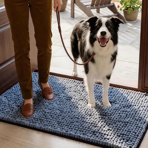EHEYCIGA Super Absorbent Dog Door Mat for Muddy Paws 30x20 in. Entryway Rug