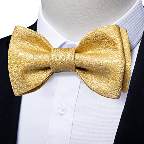Image of DiBanGu Silk Self-Tied Bowtie Jacquard Woven Bow Tie Set for Men