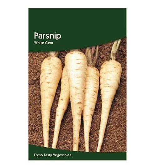 VibeX Parsnip White Gem Seeds-250 Seeds (B0BBGQXD9X) Amazon Price History, Amazon Price Tracker