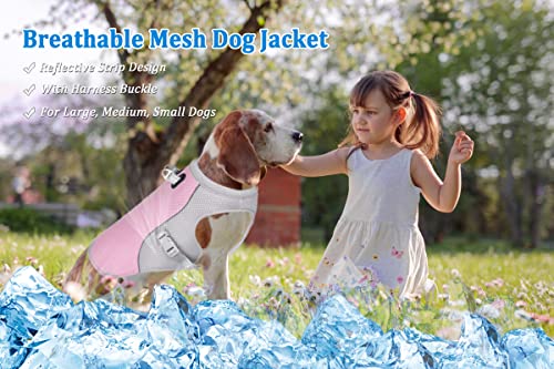 TVMALL Dog Cooling Vest Breathable Mesh Dog Jacket Summer Cool and Comfortable Dog Coat Adjustable With Reflective Strip Pet Clothes Suitable for Large Medium and Small Dogs (2XL - Image 3