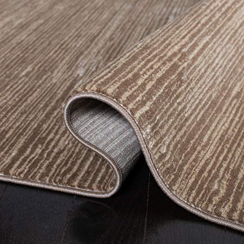 Safavieh Vision Collection Area Rug - 9' X 12', Light Brown, Modern Ombre Tonal Chic Design, Non-Shedding & Easy Care, Ideal For High Traffic Areas In Living Room, Bedroom (Vsn606C) #TOP5