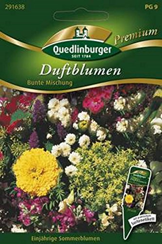 Duftblumen, Bunte Mischung, ca. 30 Pflanzen