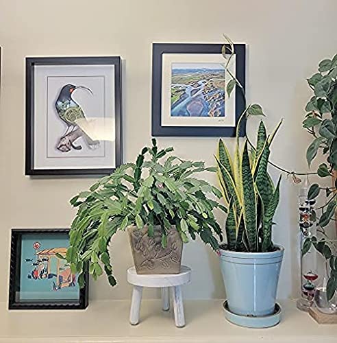 Single Modern White Plant Stand Indoor | Small Plant Stand 7X7 Inches | Natural Wood Color With Whitewash Finish | Decorative Plant Flower Decor Stand | - Pot And Plant Not Included #TOP5