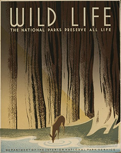 Poster Vintage National Park en Bois Noble Style WPA Art Déco Premium