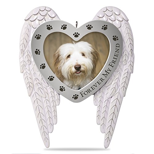 Hallmark 1599QHX4043 Keepsake Christmas Ornament 2018 Year Dated Forever My Friend Pet Memorial Bereavement Metal Photo Frame, Pet Photo Frame