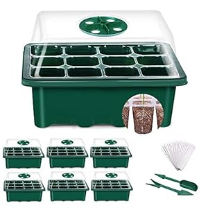 YAUNGEL Kamerkas, kweektray, 6 stuks, 72 cellen, mini-broeikas, kweekset, starter, trays, kweekschaal met deksel en ventilatie voor zaailingen, planten
