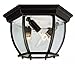 Trans Globe Lighting 4906 RT Three Light Down Lighting Outdoor Flush Mount Ceiling Fixture from The Outdoor Collection