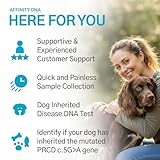 AffinityDNA Dog PRA-prcd DNA Test | Home Sample Collection Kit for 1 Canine | Puppy Progressive Retinal Atrophy Test Kits | Results in 7 Working Days | A Complete Kit With No Extra Fees - Image 5