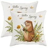Juego de 2 fundas de almohada de primavera, bonitas fundas de almohada florales de marmota, fundas de cojín cuadradas decorativas de flores silvestres amarillas para el hogar, sala de estar, sofá, 16