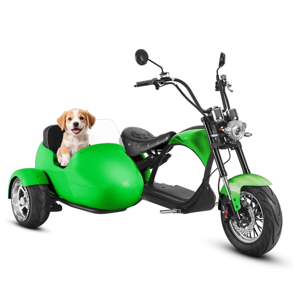 eAhora M1P Sidecar Electric Motorcycle for Adult, 2 Person Ride, 2000W Powerful Motor,40+ Miles Long Range on 60V 30Ah Lithium Battery,37MPH Hight Speed