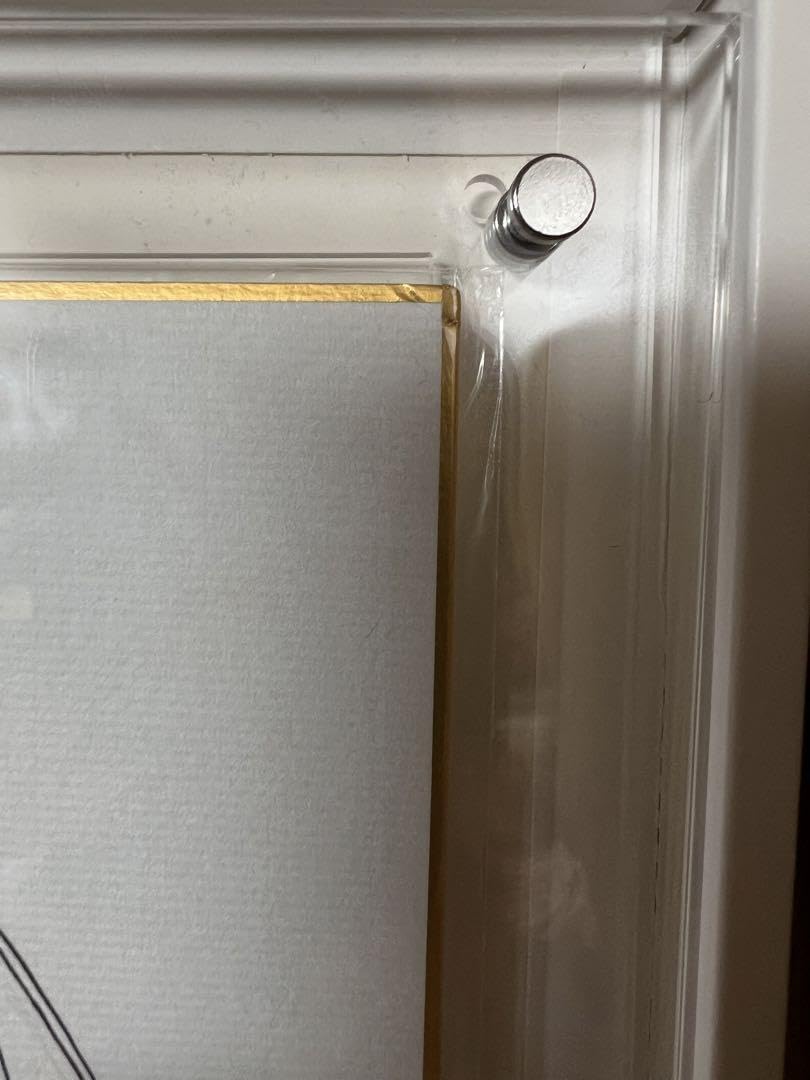 Amazon.co.jp: えれくと！ ピロ水 直筆イラストサイン色紙 抽プレ 当選