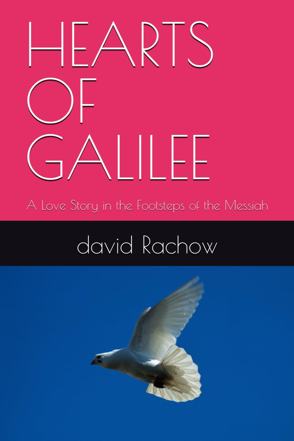 HEARTS OF GALILEE: A Love Story in the Footsteps of the Messiah