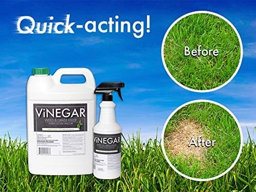 Vinegar Weed & Grass Killer With Sprayer – Weed & Grass Killer Approved For Organic Production | Pet Safe | Glyphosate Free Herbicide - 1 Gallon With Sprayer #TOP4