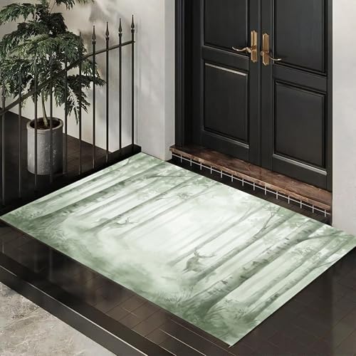 Tapis de sol antidérapant lavable pour stopper la boue des chaussures - 7