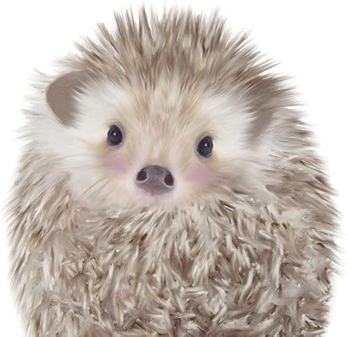 Posterazzi PDXLSRC008LSMALL - Impresión fotográfica de erizo (18.0 x 23.9 in), multicolor