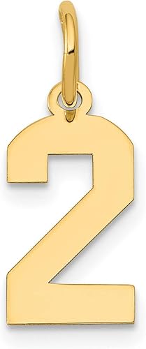 Dije pequeño de oro amarillo de 14 k con número 2 pulido 0.709 in x 0.276 in, Metal, No es una piedra preciosa