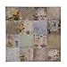 Wallflower Paper Stash by Tim Holtz Idea-ology, 36 Sheets, Double-Sided Cardstock, Various Sizes, Multicolored, TH93110