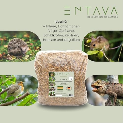 ENTAVA Soldatenfliegenlarven getrocknet 5kg - Getrocknete Insekten in Premium-Qualität, Soldatenfliegen für Vögel, Amselfutter, Koifutter, Igelfutter, Eichhörnchenfutter, Futter für Wildvögel