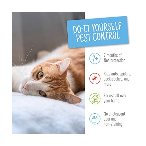 Adams Flea & Tick Indoor Fogger 2 x 3 oz Cans Kills Fleas, Flea