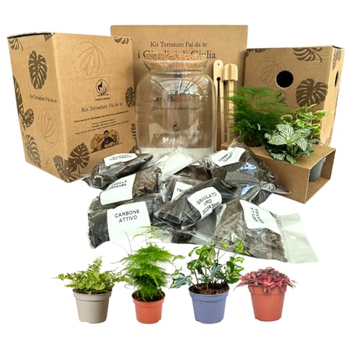 🏡 Design Biologico Elegante: Il terrarium in vetro con tappo in sughero offre un tocco naturale e raffinato; il contrasto tra sabbia bianca e granulato nero crea un effetto visivo affascinante; perfetto per decorare ogni ambiente con stile