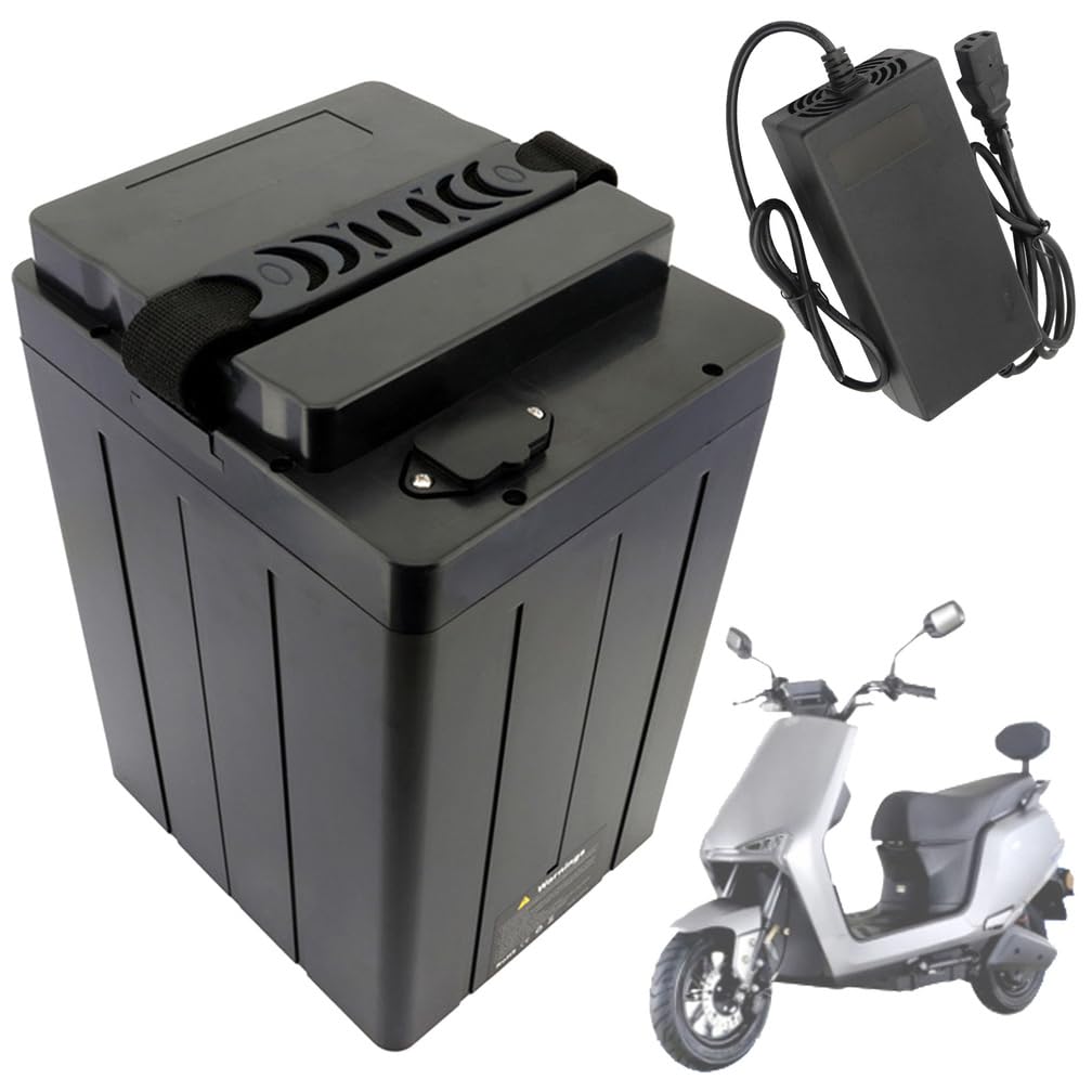 Lithium Battery 60V 30Ah 18Ah 20Ah Replacement Battery 48V Motorcycle Batteries 72V Li-ion Batteries for 250W - 2100W Motors with Charger and Handle,72V25Ah