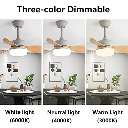 Mini ventilateur de plafond silencieux 6 vitesses éclairage salon
