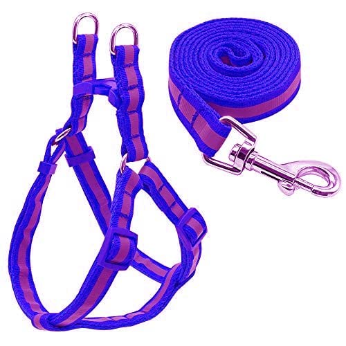 SPYNET Daily Walking Durable 15mm Nylon Reflective Dog Harness Leash Lead Set for Small Medium Dogs Puppy Harness and Leash Set Adjustable (Purple Color) (B09X4DB9GH) Amazon Price History, Amazon Price Tracker