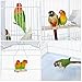 Yaheetech 41-Inch Portable Hanging Flight Bird Cage for Small Parrots Quaker Cockatiels Sun Parakeets Green Cheek Conures Finches Canary Budgies Lovebirds Travel Bird Cage