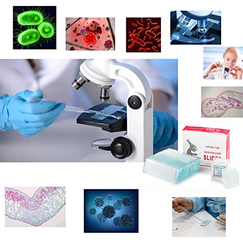 Zenfun 300 Pcs Microscope Slides And Covers, Blank Glass Slides For Microscope Set - 300 Slides, 300 Coverslips, For Microscopy Experiments And Analysis, Education #TOP6