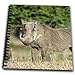 3dRose db_76273_1 South Africa, Kwazulu Natal, Zulu Nyala Gr, Warthog-Af42 Jen0053-Jim Engelbrecht-Drawing Book, 8 by 8-Inch