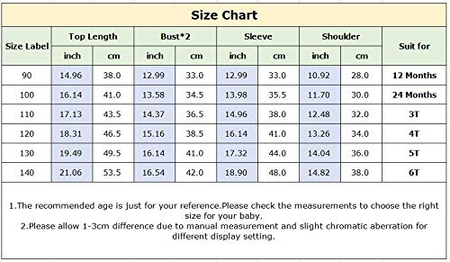 Eishow Toddler Unisex Baby Autumn Hooded Sweatshirt Infant Boys Girls Winter Hoodies Solid Pullover Pockets Outfits (12 Months,White) #TOP1