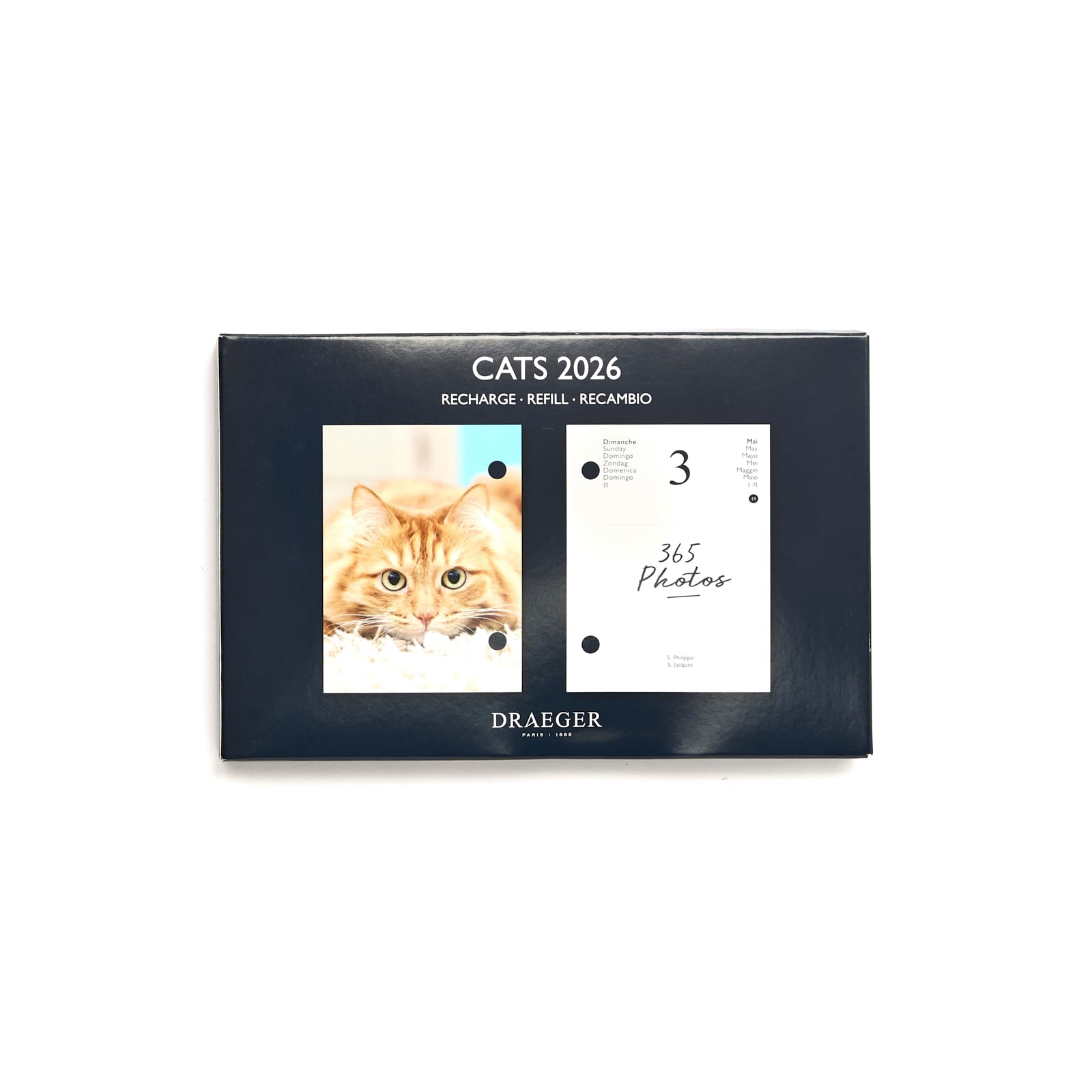 DRAEGER PARIS 1886 - Refill Diary 16 x 10 cm 2026 - Cats Theme - 12 Months - FSC Paper - Detachable Illustrations