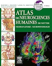 Download Atlas de neurosciences humaines de Netter: Neuroanatomie-Neurophysiologie PDF