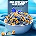 Blue Raspberry Jolly Ranchers Hard Candy – Original Flavor – 1 LB Bulk Bag (Approx. 75 Pieces) – Individually Wrapped Tart & Sweet Treats for Baby Showers, Back to School, Birthdays & Gift Bags