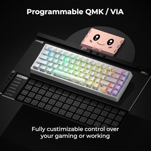 Image of x XVX M67 Wireless 60% Percent Keyboard, QMK /VIA Topographic Gaming Keyboard, Tri-Mode Thocky Creamy Mechanical Key board, Hot Swappable Gasket Mount RGB IMD Tech for Win /Mac, Spider Web Theme, White