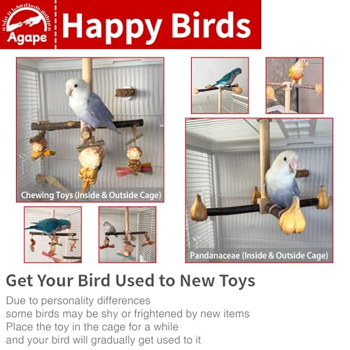 Image of Agape Rotating Parrot Perch with Chew Toy, Wooden Stand for Small Birds | Natural Bird Cage Accessory for Parakeets, Cockatiels, Lovebirds, Conures, Budgies, Helps Reduce Boredom & Encourage Exercise