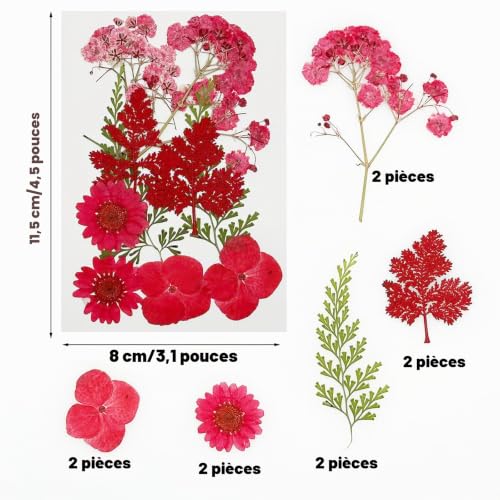 Cayway 40 PCS Fleurs Sechees Naturelles, Bricolage Fleurs Séchées Ensemble Feuilles Naturelles Pressées à Sec, Rouge Fleurs Pressées Séchées pour L'artisanat D'art de Bricolage – vue 3