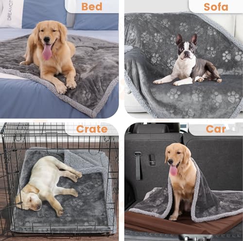 PETTOM wasserdichte Hundedecke, Hundedecke Flauschig aus Sherpa Fleece, Hundedecke Waschbar Beidseitige Haustierdecke für Sofa 100 * 70cm, Grau