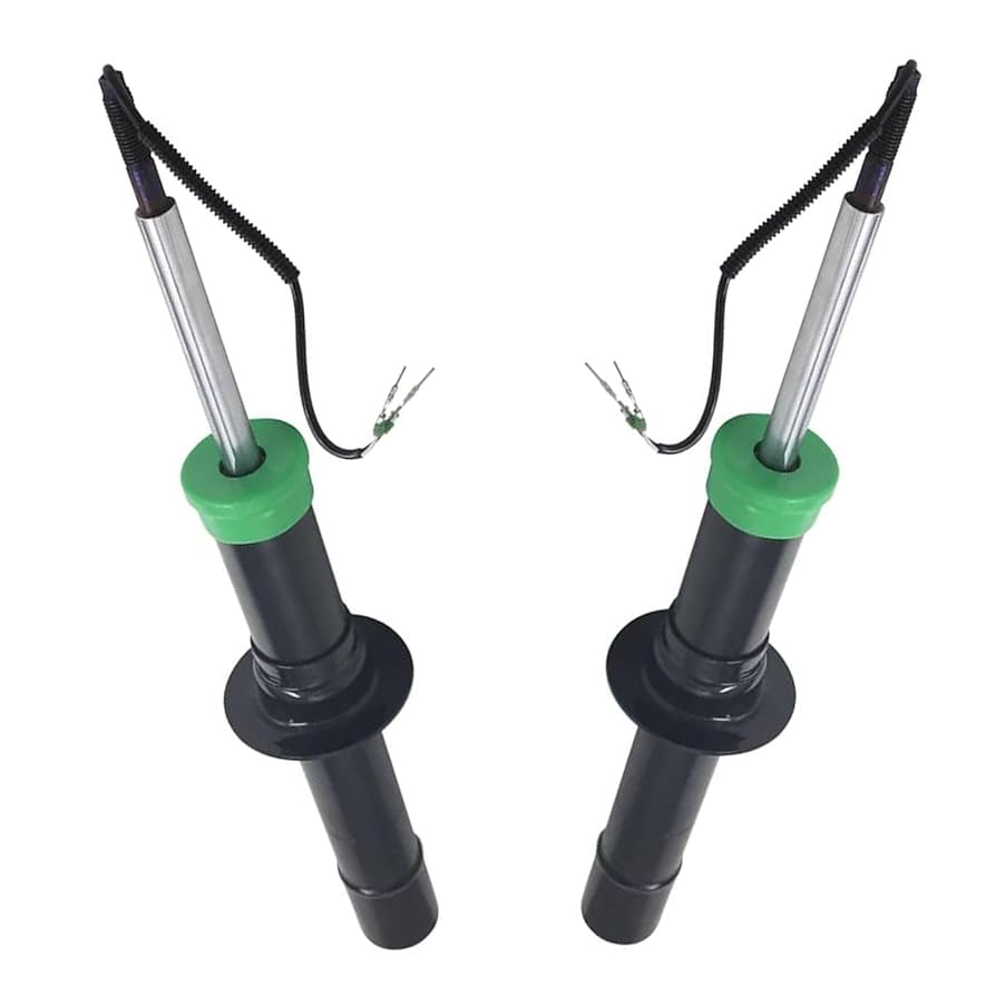 Amazon.com: YWEISPART 23276551 23405719 2PCS Front Shock