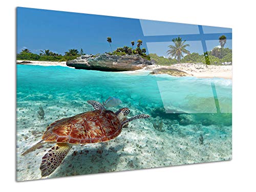 DECLINA Tableau Plexiglas Tortue Marine Multicouleur - Impression Verre Nature et Paysage - Décoration Murale pour déco Maison, Cuisine, Salon, Chambre, Bureau - 50x30 cm